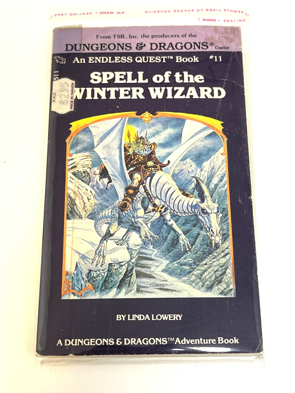 Spell of the Winter Wizard Endless Quest #11 Dungeons & Dragons Adventure